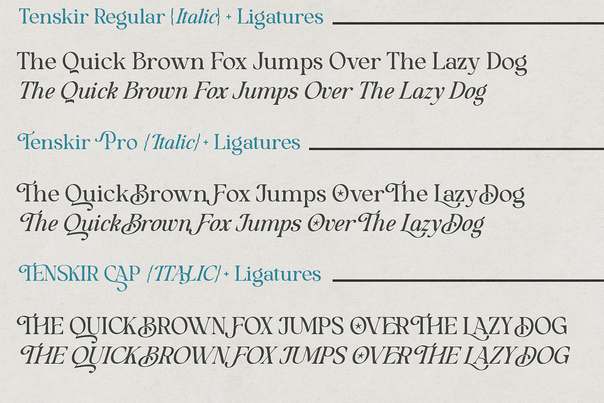 Tenskir - Serif Font, a Serif Font by NDNL Studio (Photo 8 of 9)