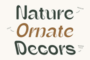 CS Amora – Art Nouveau Font, a Sans Serif Font by Craft Supply Co. (Thumbnail 2 of 8)