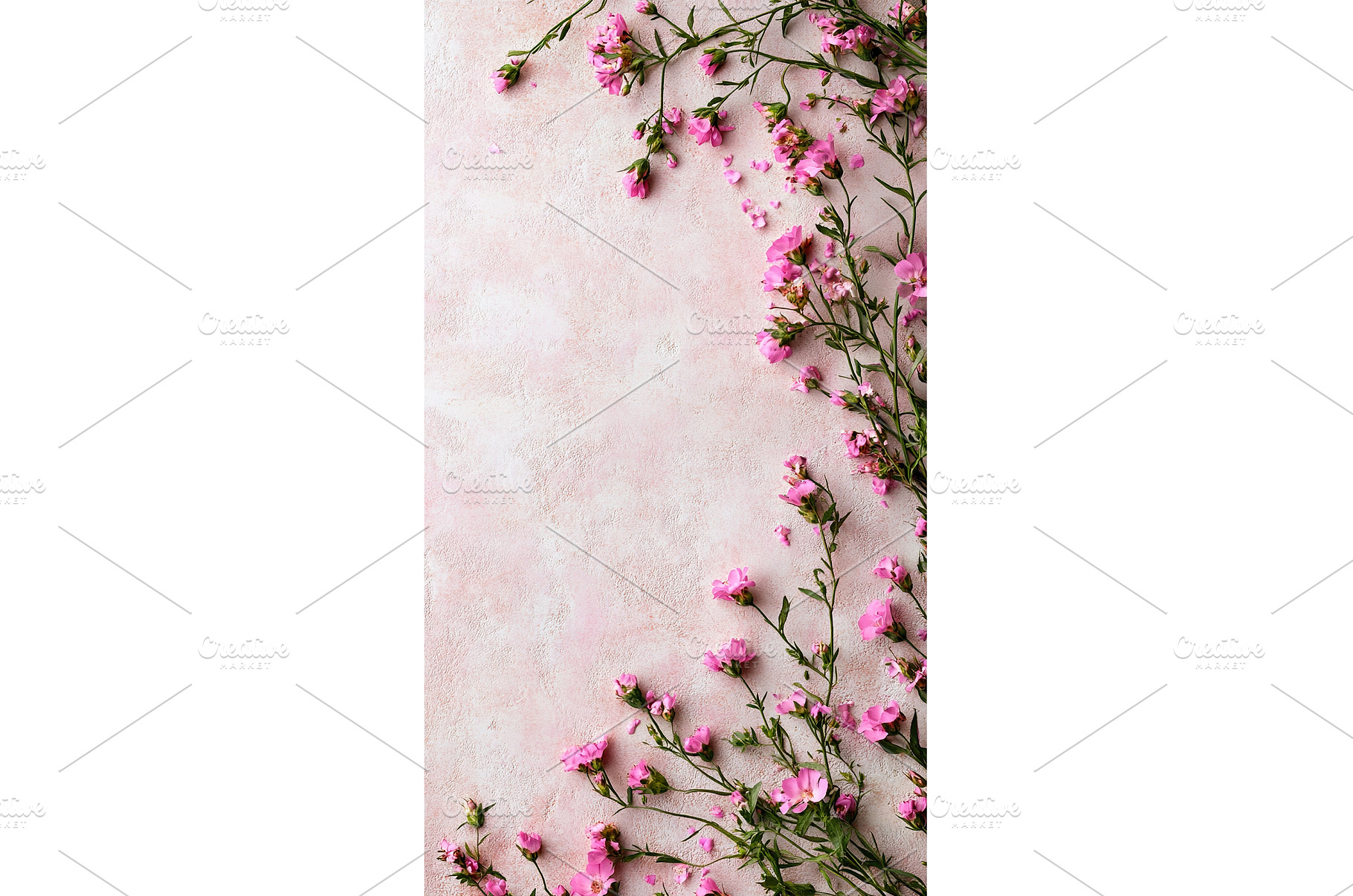 Pink wildflowers arranged on, a Background Photo by Lermont51
