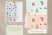 Cornflowers and Raspberries, a Texture Illustration by Volga_Store (Thumbnail 10 of 12)