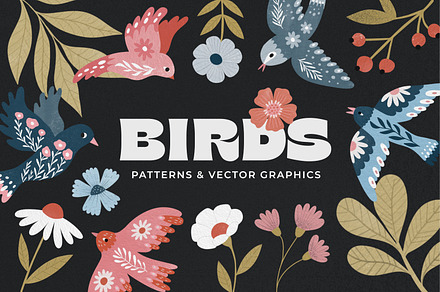 BIRDS patterns & graphics