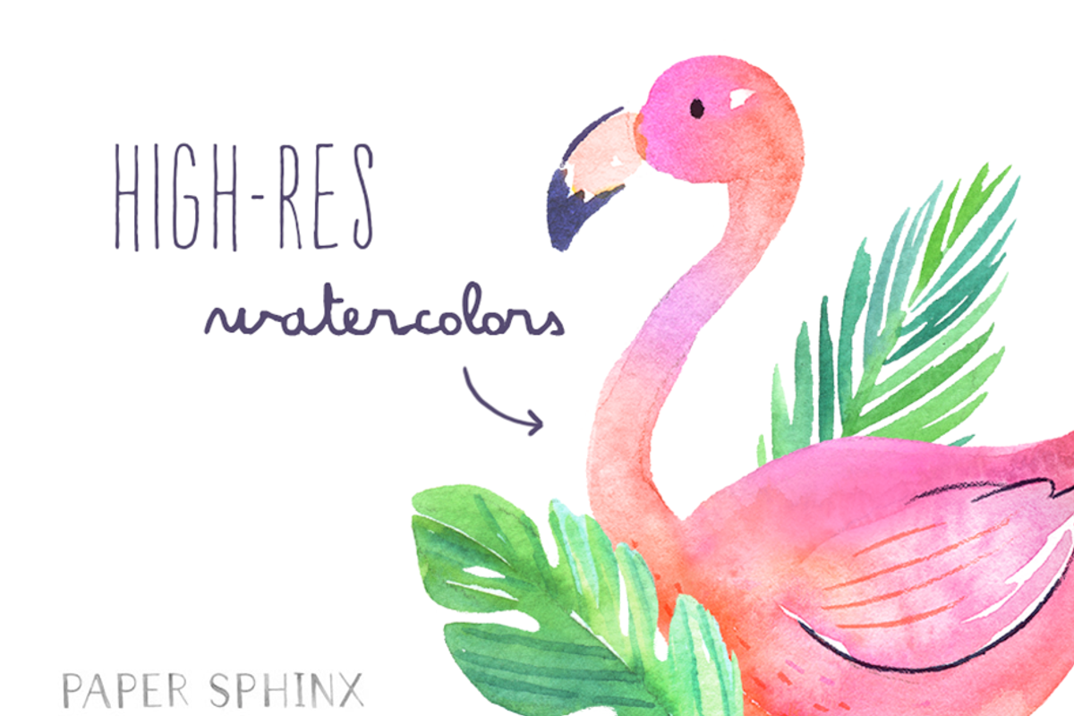 Watercolor Tropical Flamingo Clipart, an Illustration by PaperSphinx (Photo 3 of 3)