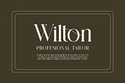 Dinamic Elegant Serif Typeface, a Serif Font by Alfinart (Thumbnail 7 of 8)