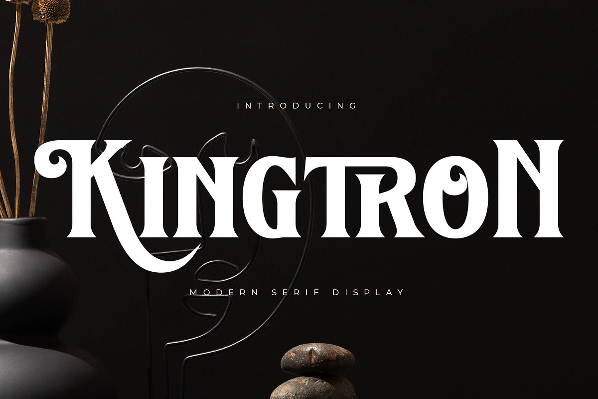 Kingtron Modern Serif Display, a Serif Font by Letterena Studios (Photo 1 of 15)