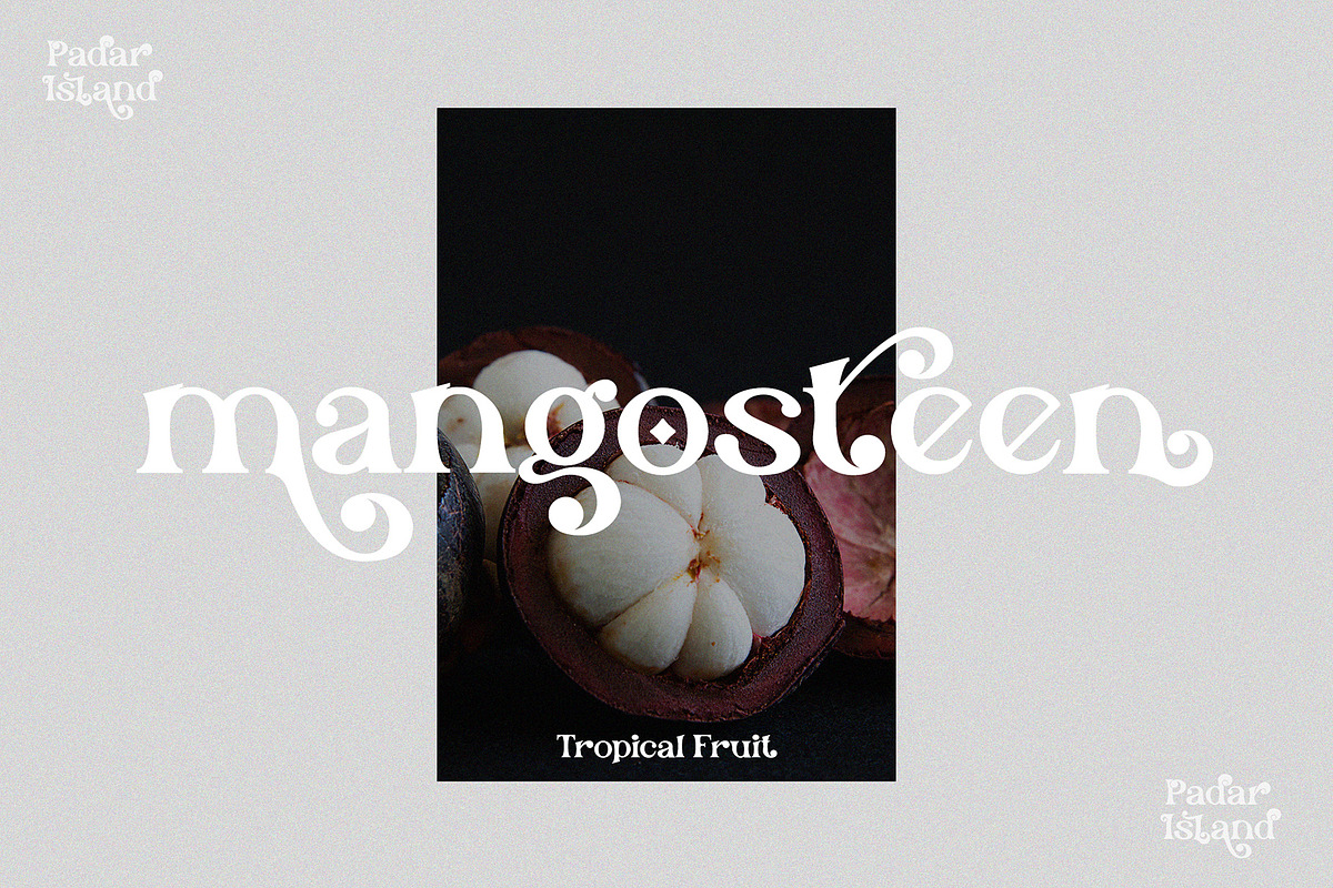 Padar Island - Display Serif Font, a Serif Font by erlosDESIGN (Photo 9 of 19)