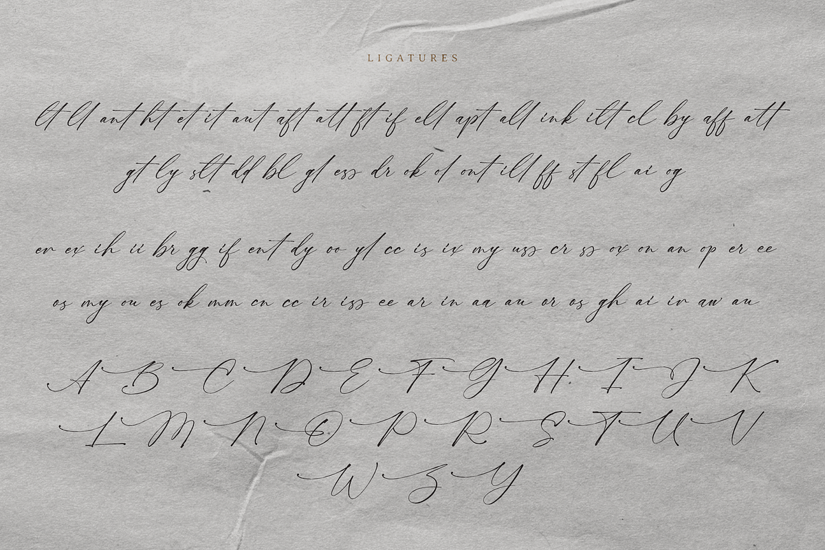 Nocturnal Blossom Handwritten Script, a Script Font by Namara Creative Studio (Photo 15 of 16)