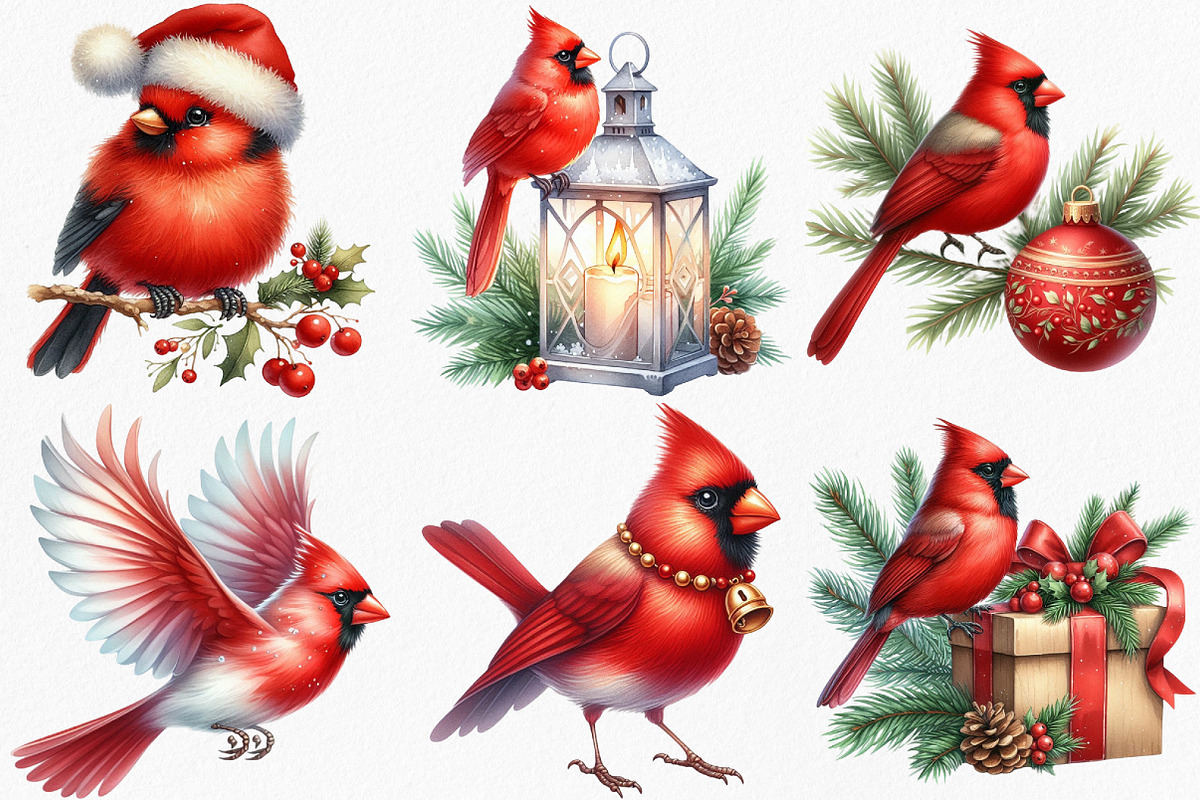 Watercolor Red Cardinal Christmas, an Illustration by Canvas Craft (Photo 2 of 7)