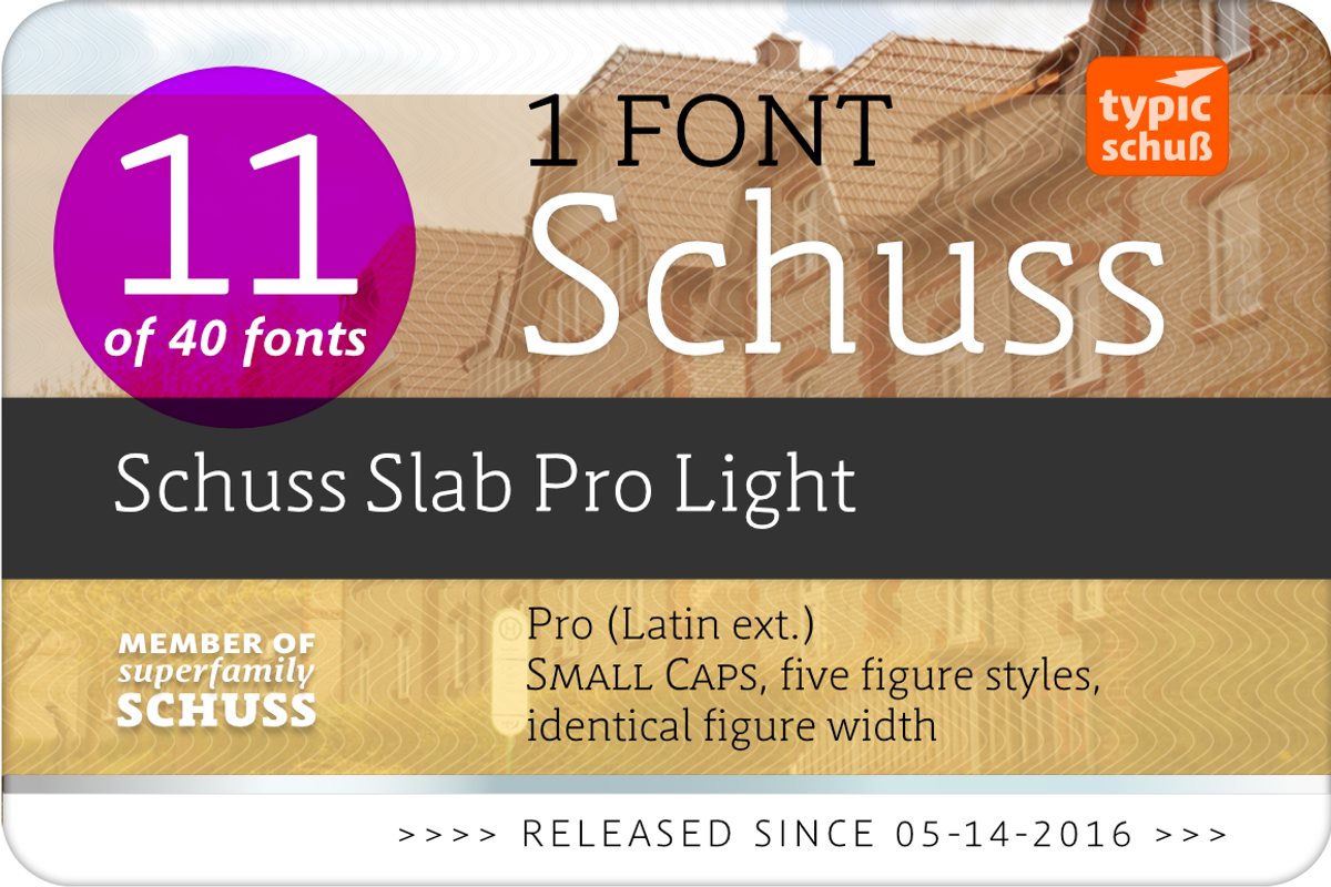 SchussSlabProLight No.11 (1 Font) preview 2
