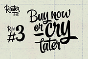 Roster Script + Extras (35% OFF), a Script Font by Fenotype (Thumbnail 4 of 20)