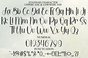 Winter Garden, a Handwritten Font by InermediaSTUDIO (Thumbnail 7 of 8)