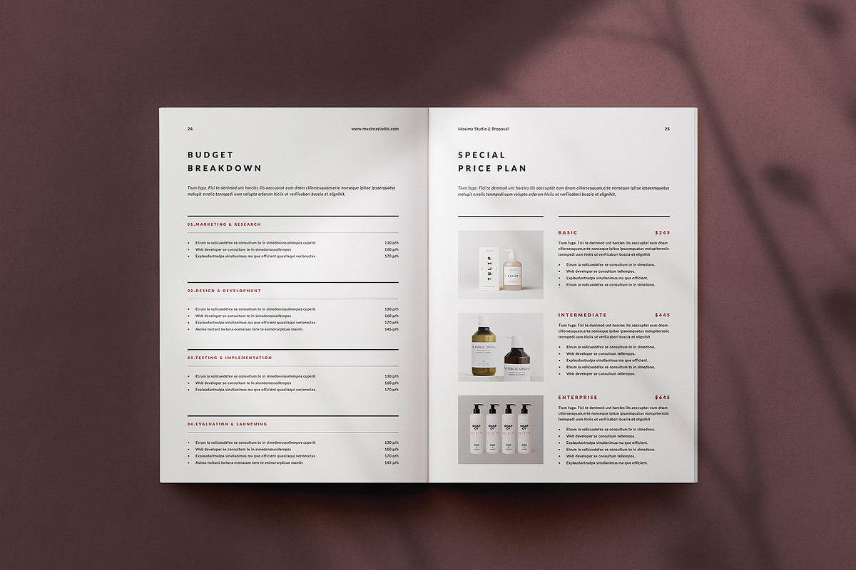 Proposal Bundle, a Brochure Template by Occy Design (Photo 30 of 32)