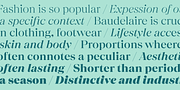 Chiaroscura, a Serif Font by Emtype Foundry (Thumbnail 4 of 15)