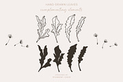 Artistic Dandelion Sketches, a Decorative Illustration by Pigment Café (Thumbnail 4 of 6)