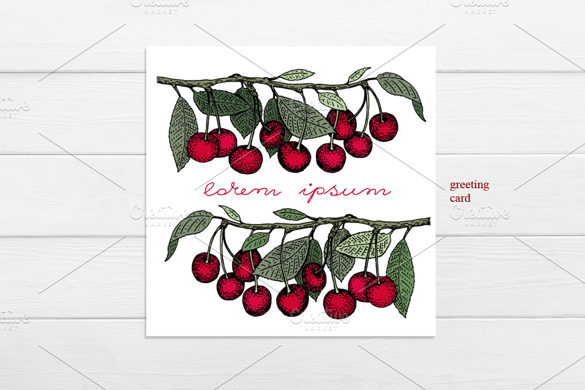 Cherry Vector Collection, a Food Illustration by Lubov Illustrations Shop (Photo 6 of 7)