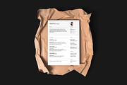 Minimal CV, letterhead & card bundle, a Resume Template by Srg® (Thumbnail 6 of 14)