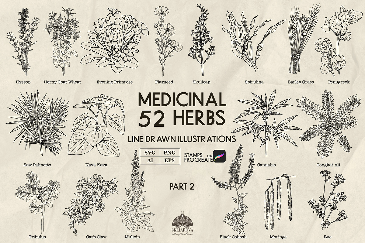 Medicinal Herbs part 2 + Procreate, a Healthcare Illustration by Skliarova (Photo 1 of 6)