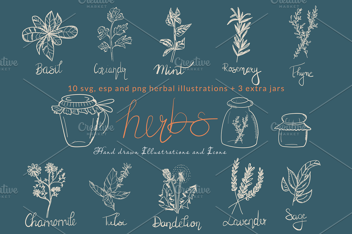 Herbal Illustrations/Icons, a Food Illustration by Mindful & Curious Design (Photo 1 of 3)