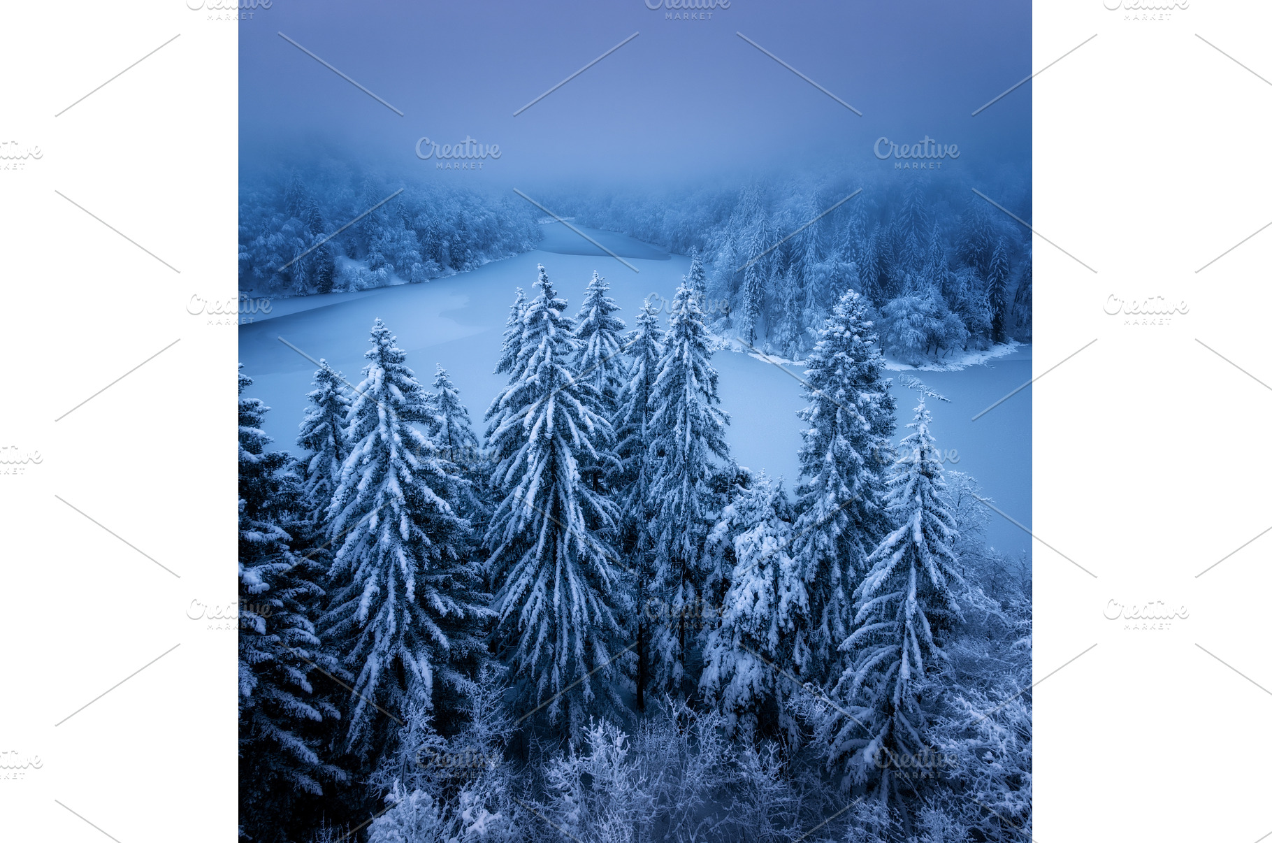 Aerial drone view of snowy pine, a Nature Photo by den-belitsky