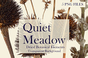 Quiet Meadow — Dried Meadow Botanica, an Object Graphic by Aga Silva (Thumbnail 4 of 4)