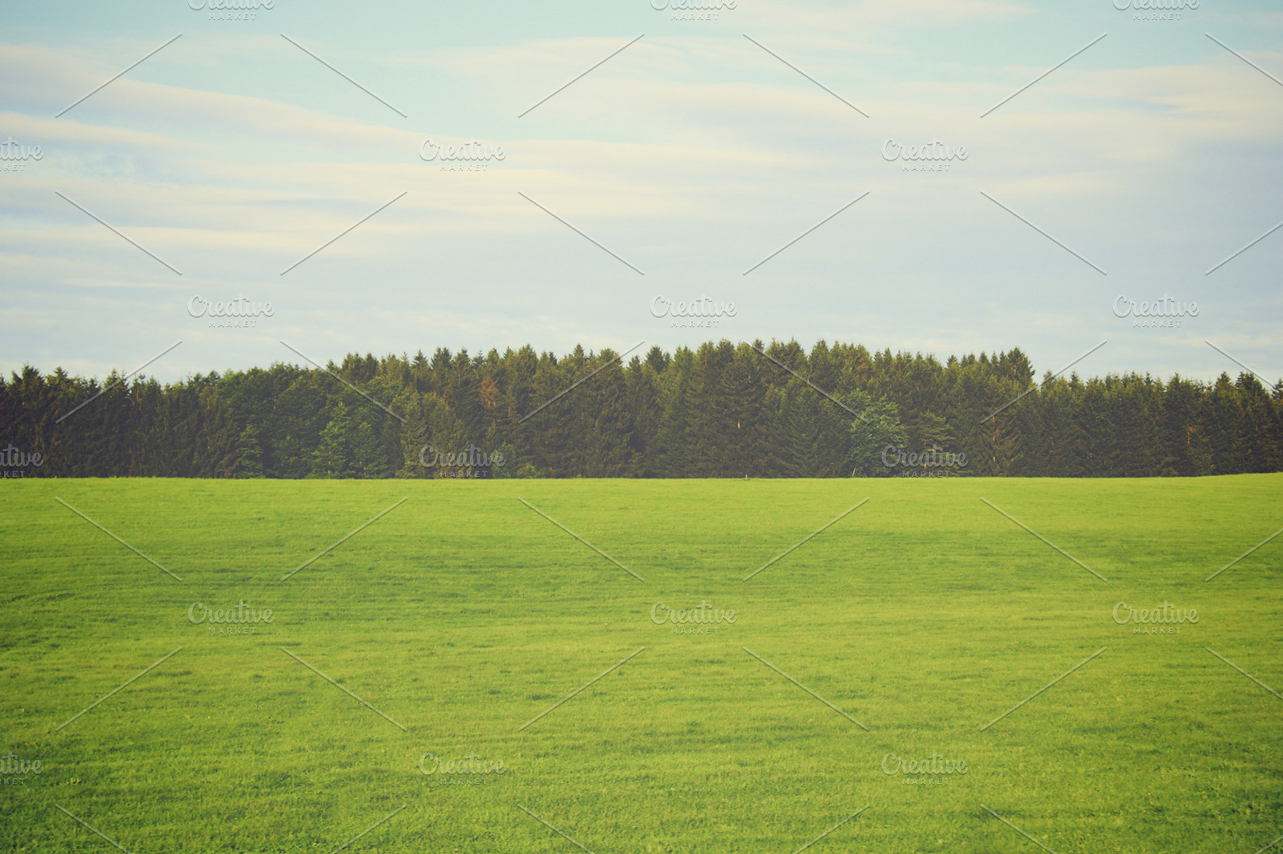 Green Landscape Featuring Landscape Green And Rural