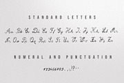Maricel - A Strange Font, a Script Font by Monkey's Dream Studio (Thumbnail 4 of 5)