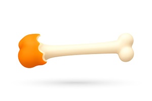 3d illustration of chicken bone with