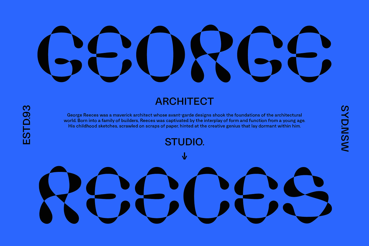 Display Font Collection, a Slab Serif Font by Tropical Type (Photo 25 of 46)