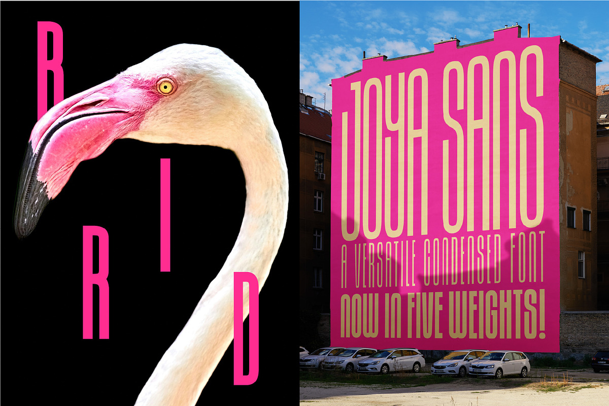 Joya Sans V2 - Condensed Font Family, a Sans Serif Font by BTYPE (Photo 2 of 17)