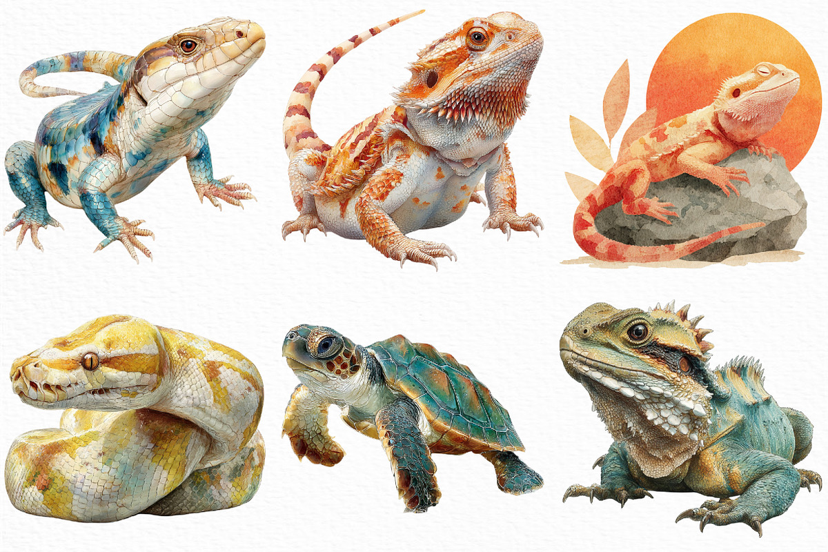 Watercolor Reptile Clipart Bundle, an Illustration by Craft Nest (Photo 4 of 6)