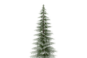 Canadian Spruce Tree Snow V1