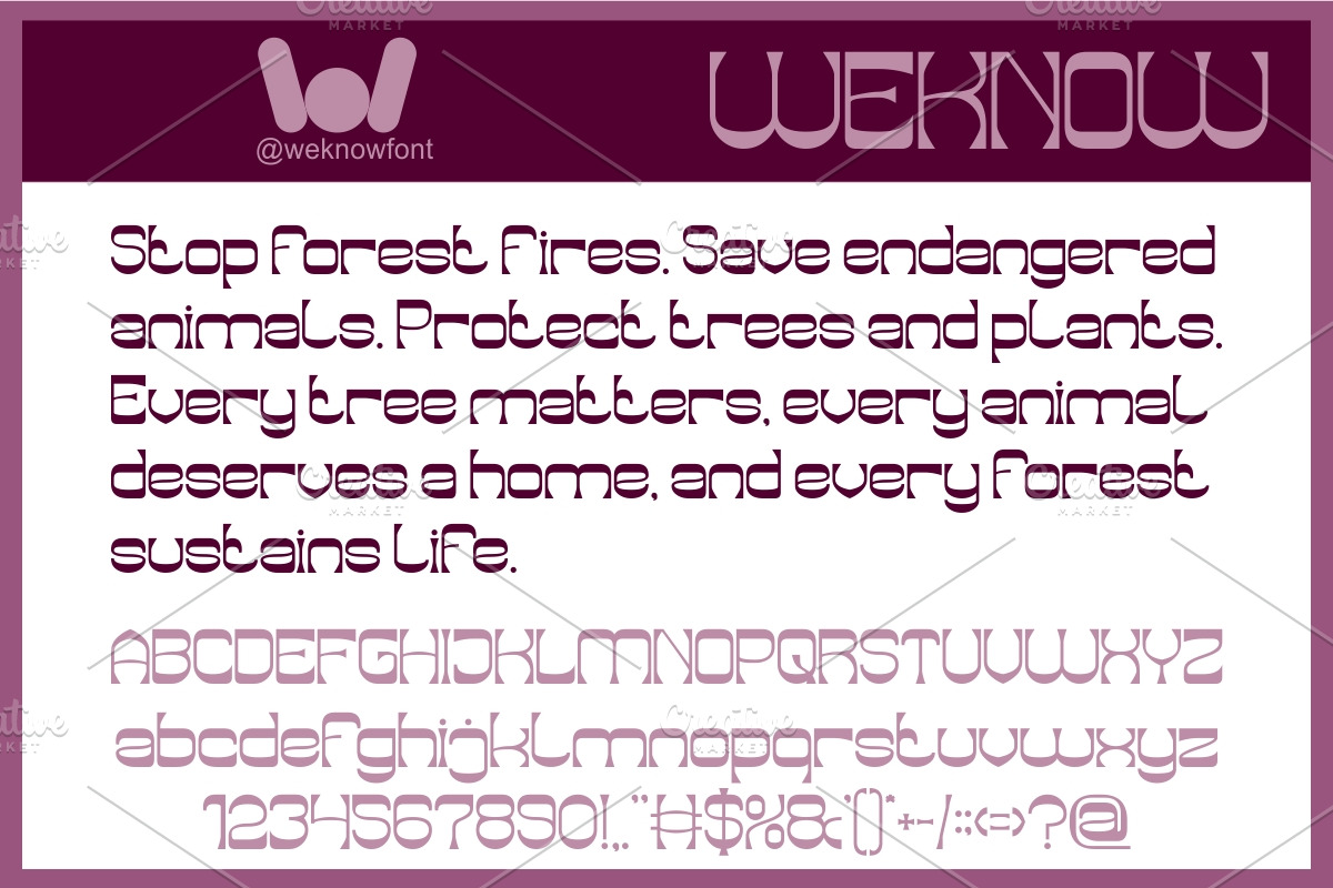 Endangered Beauty font, a Sans Serif Font by weknow (Photo 5 of 8)
