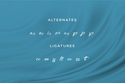 Kellanota, a Script Font by Integritype Studio (Thumbnail 11 of 15)