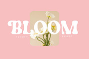 Maybro - Vintage Retro Serif Font, a Serif Font by Airotype (Thumbnail 7 of 14)