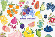 Fruit watercolor clipart set, a Decorative Illustration by Patishop Art (Thumbnail 1 of 7)