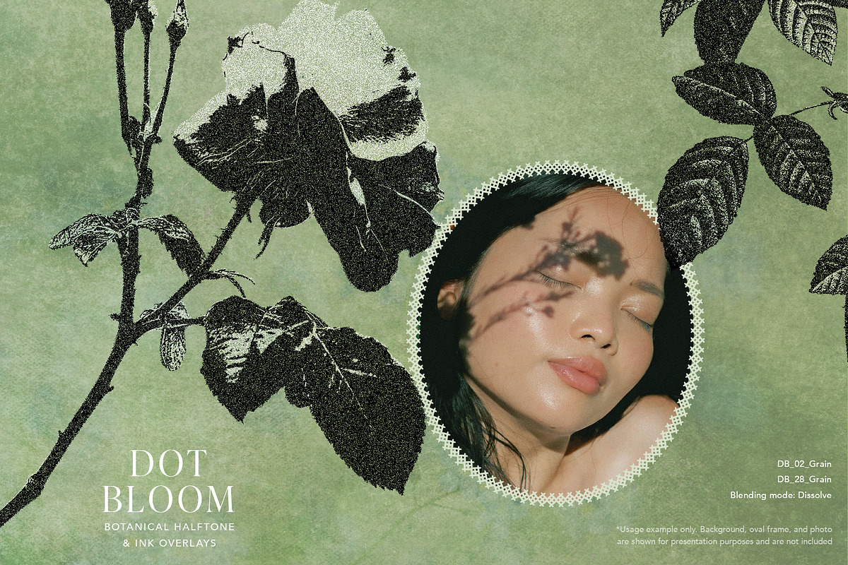Floral Halftone & Ink PNG Overlays, an Object Graphic by alonahaidash (Photo 2 of 11)