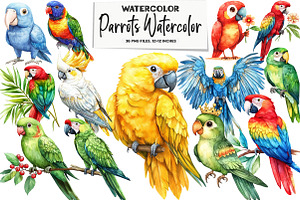 Parrots Watercolor Clipart, an Illustration by DreamArtGraphic