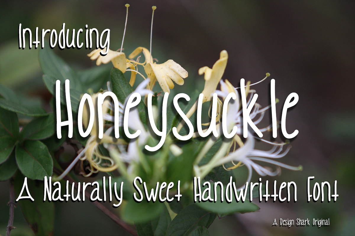 Honeysuckle