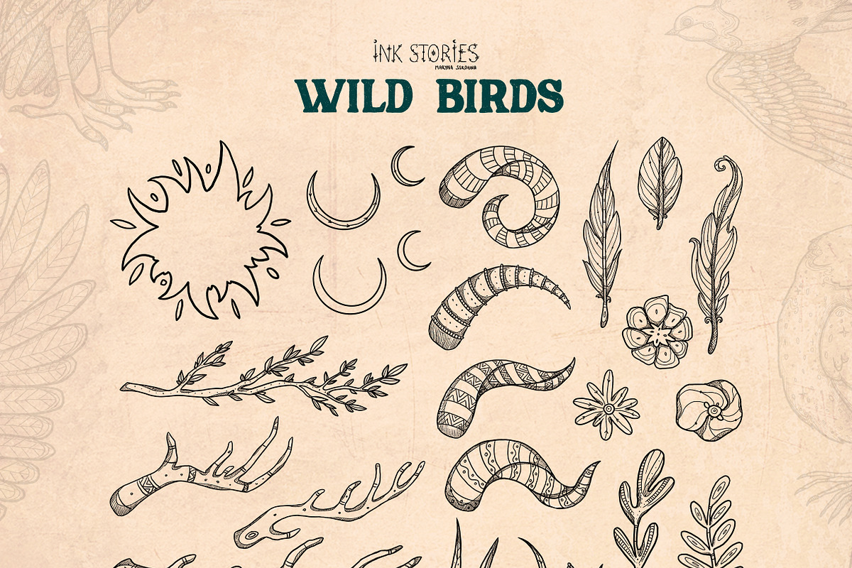 Wild Birds, an Animal Illustration by Ink Stories (Photo 8 of 20)