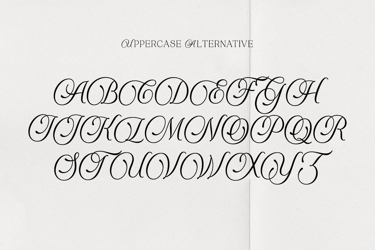 Tenopate, a Serif Font by Pista Mova (Photo 19 of 20)