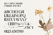 Caviary - Display serif font, a Serif Font by Almeera Std (Thumbnail 8 of 8)