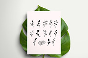 Hand Drawn Leaf Set Vector, an Illustration by M9 Design (Thumbnail 7 of 8)