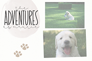 Dandy Dandelions - A Script Font Duo, a Script Font by KA Designs (Thumbnail 9 of 12)