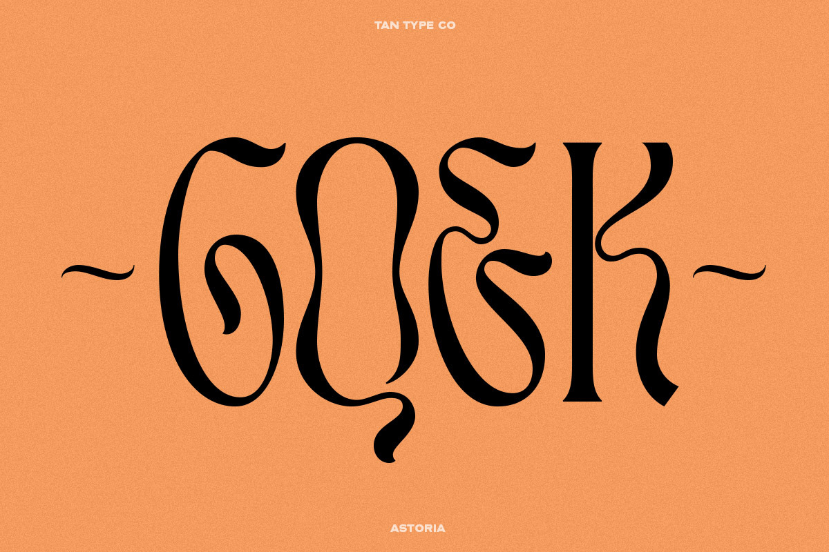 TAN - ASTORIA, a Serif Font by TanType (Photo 15 of 21)