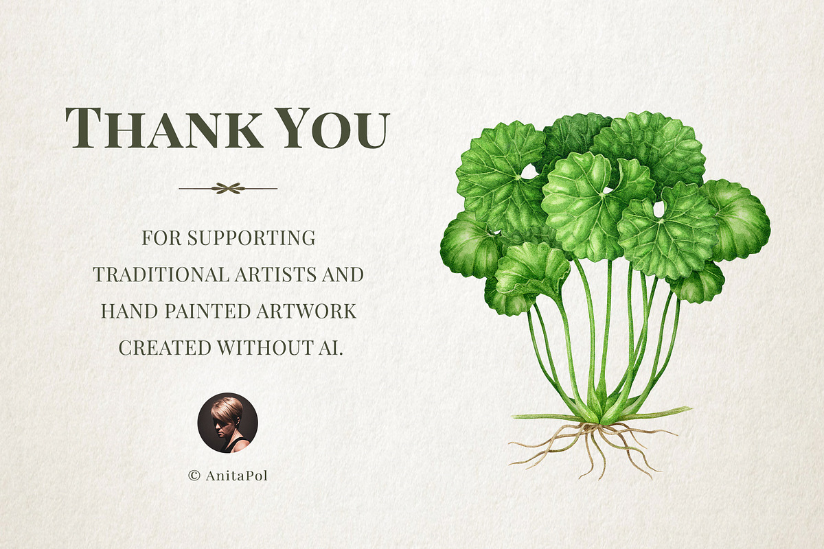 Adaptogenic Medicinal Plant Clipart, a Healthcare Illustration by AnitaPol (Photo 24 of 24)