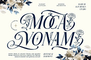 Miogina Typeface, a Serif Font by alit design (Thumbnail 2 of 17)