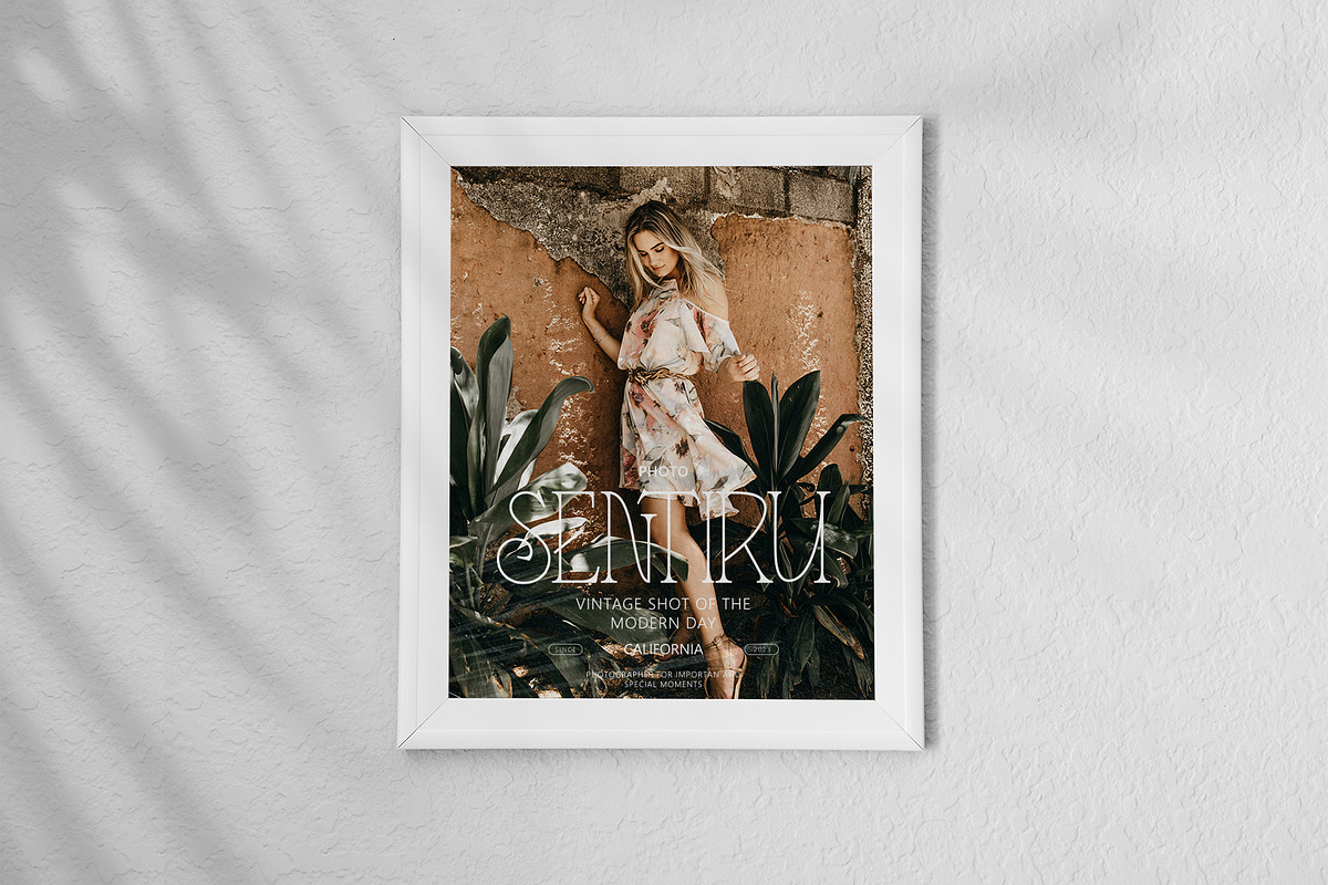 SHINELIGHT, a Serif Font by JamalCreativeStudio (Photo 3 of 12)