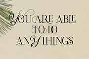 Reshnua - Hybrid Serif Typeface, a Serif Font by Mytype Studio (Thumbnail 4 of 10)