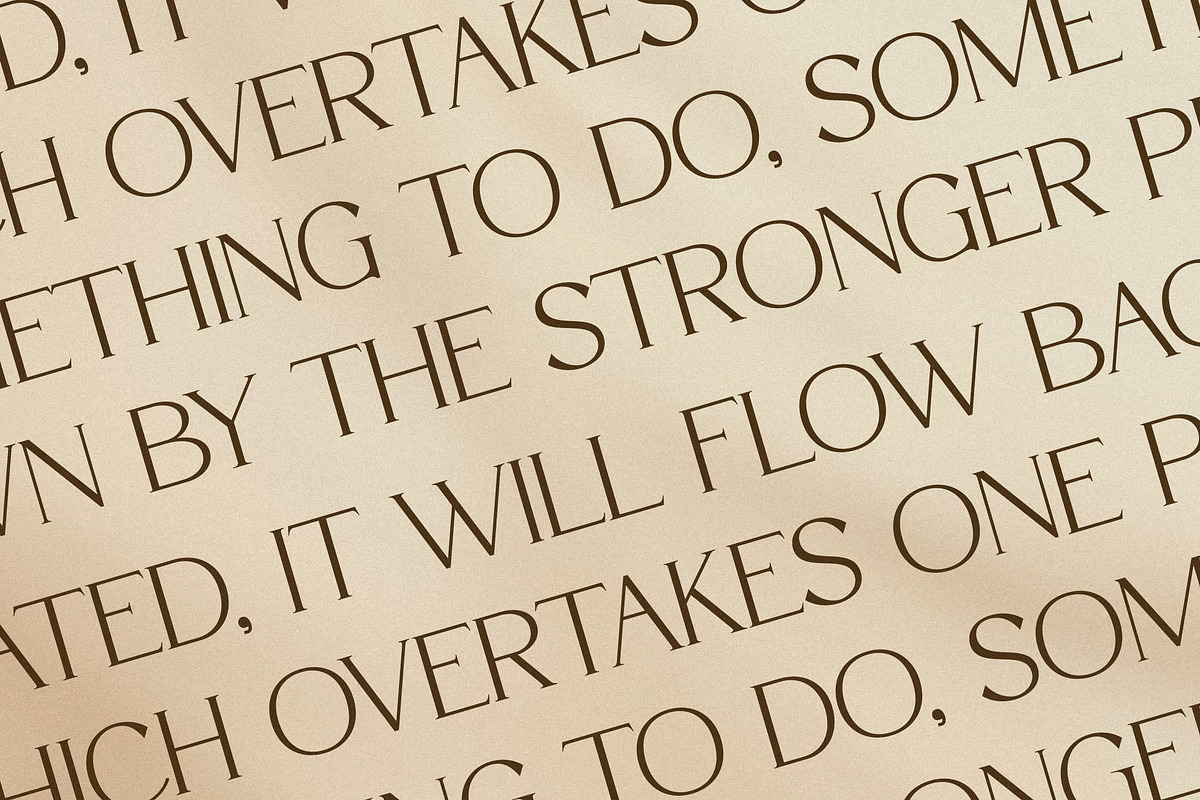 Qaflone Modern Minimalist Serif, a Serif Font by Storytype Studio (Photo 9 of 15)
