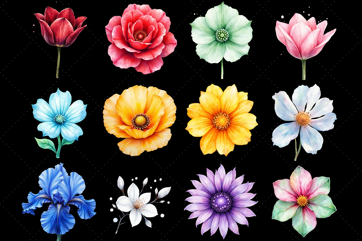Gemstone Floral Fusion Clipart png, a Decorative Illustration by FloridPrintables (Photo 3 of 9)