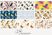 80 assorted bird seamless pattern, a Pattern Graphic by Poppy Lane Studio (Thumbnail 6 of 11)
